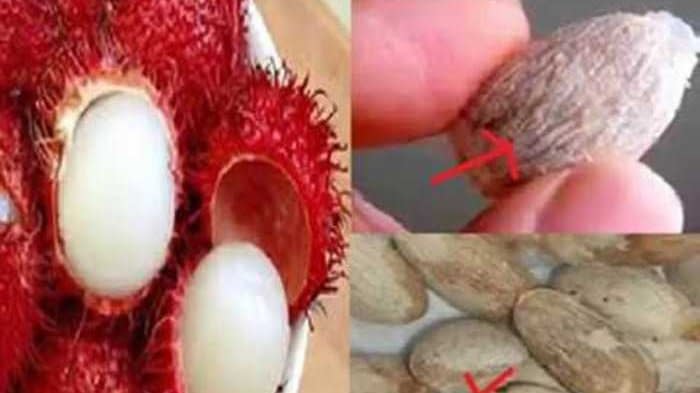 Penyakit Diabetes Bisa Sembuh Total Women Health